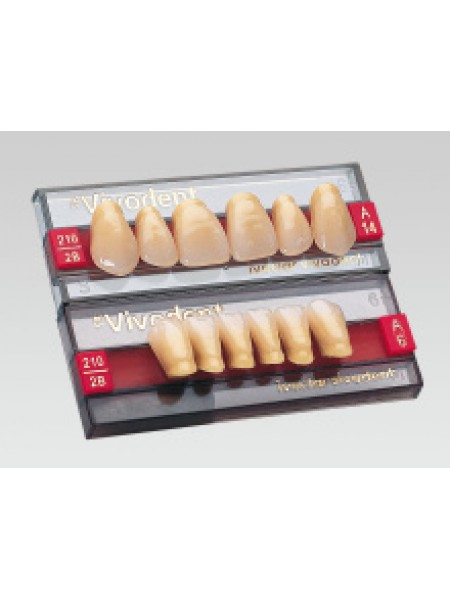 Зубы Ivocryl 6 зубов в планке  A-D фронтальные верхние 23 A3.5